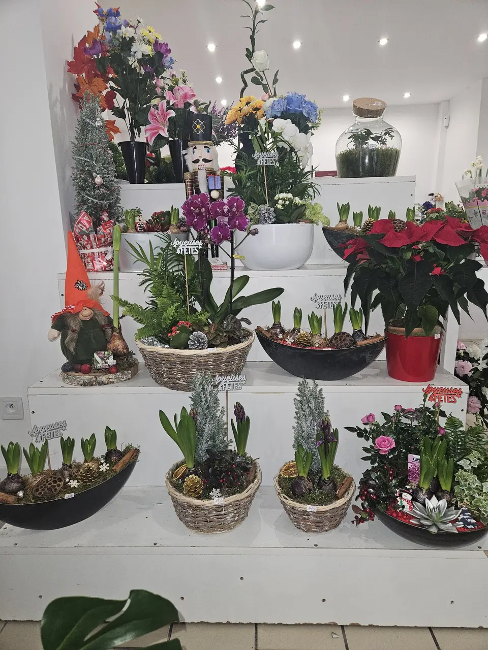 Présentoir de plantes et compositions de fêtes