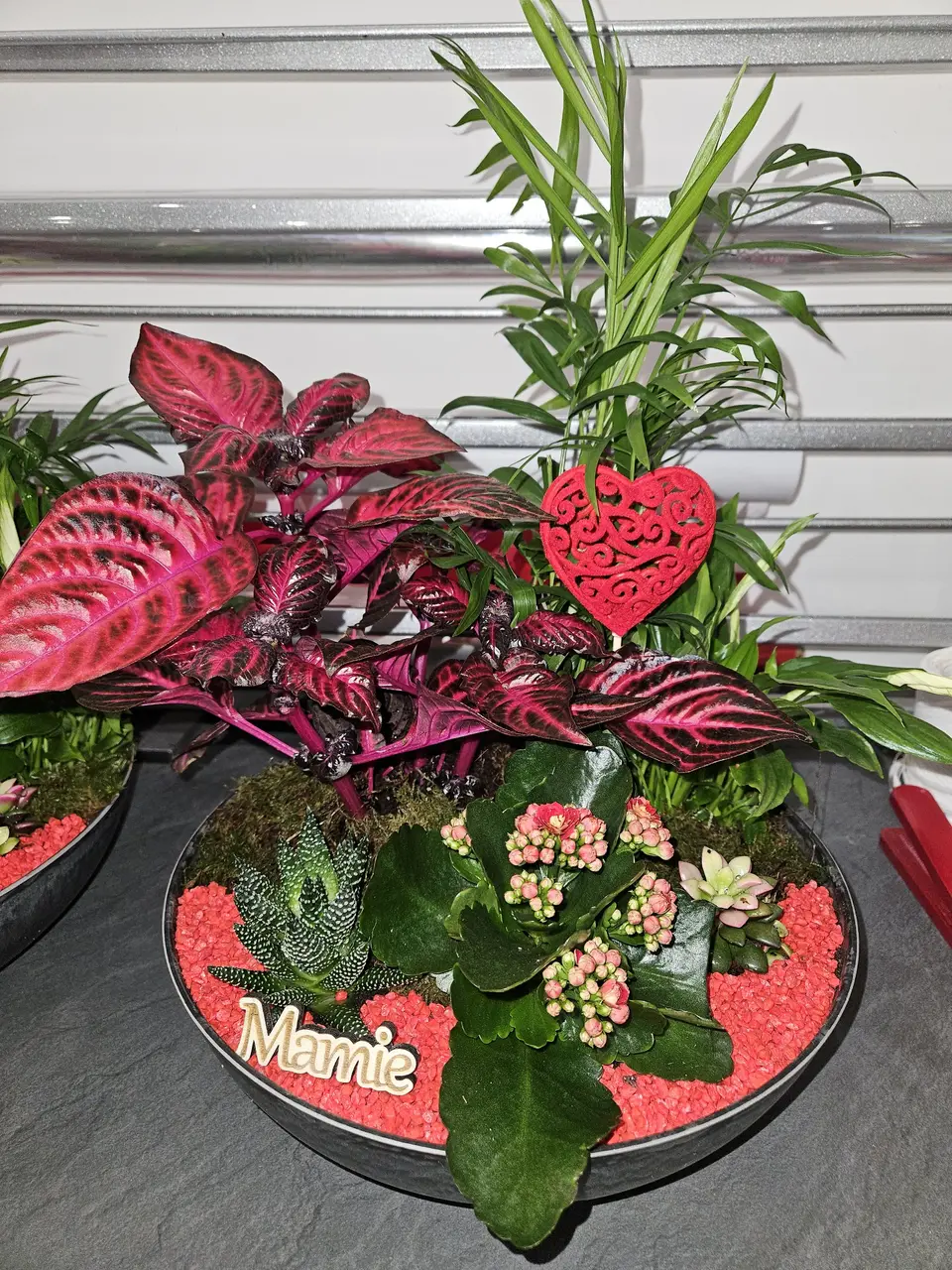 Composition de plantes pour la fête des grands-mères