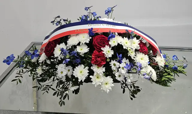 Coussin de cérémonie bleu, blanc et rouge