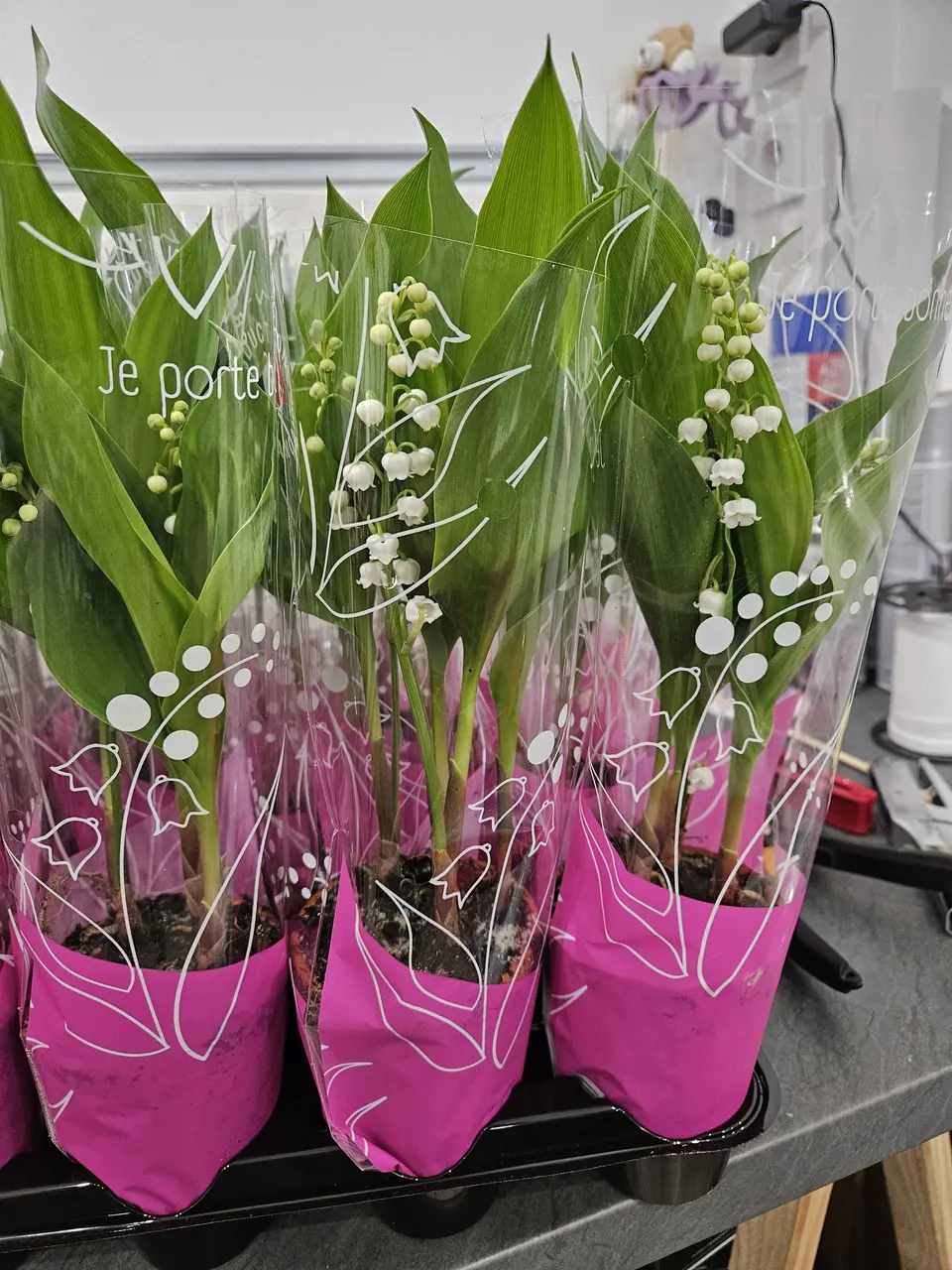 Brins de muguet du 1er mai