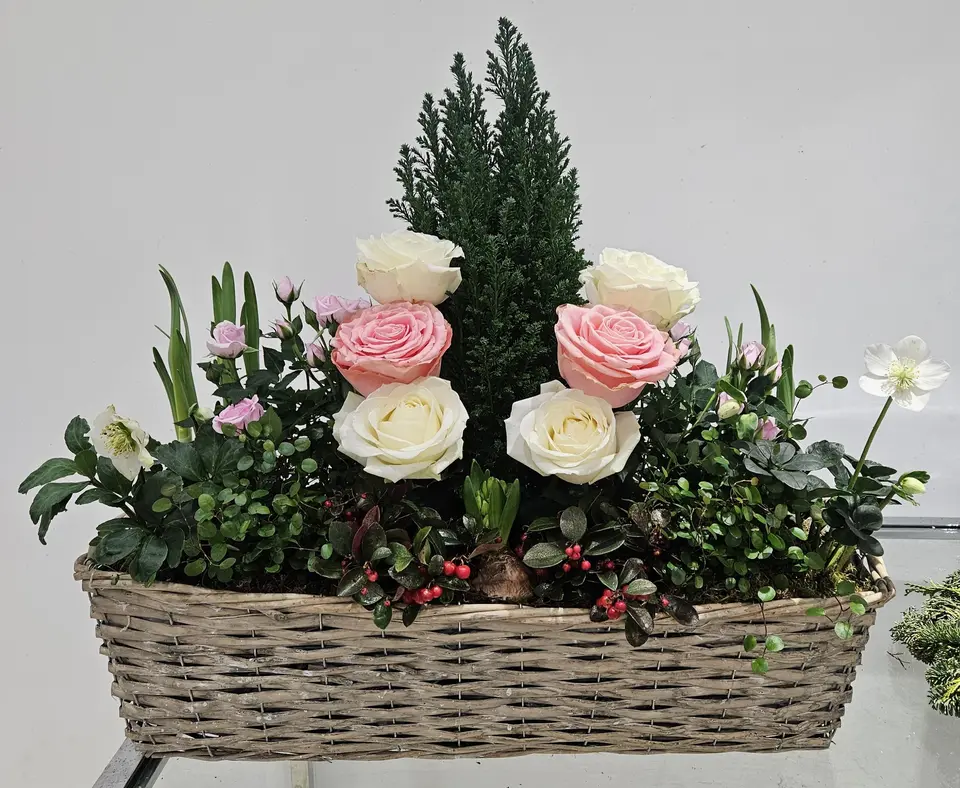 Panier d'hiver avec roses et petit conifère