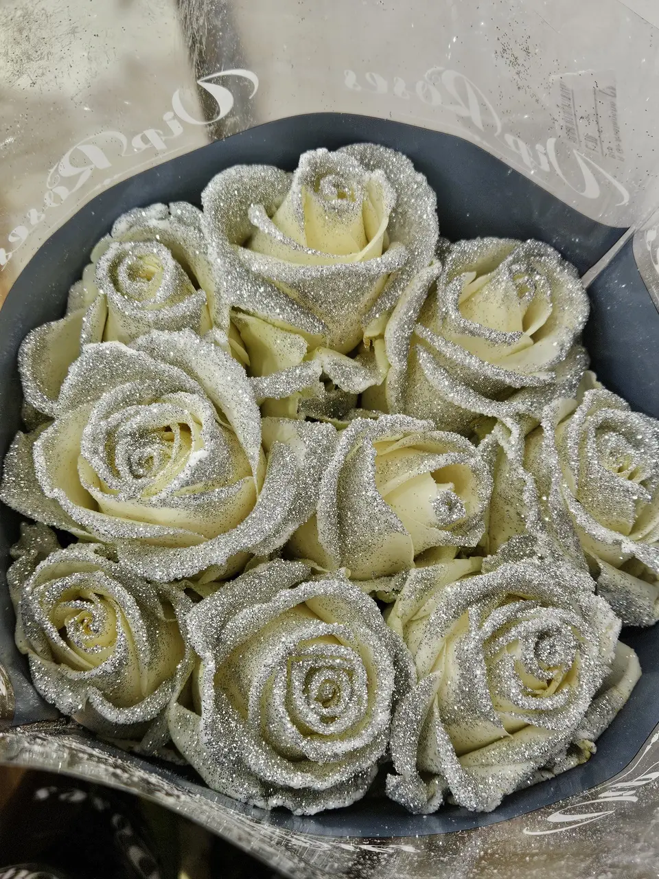 Roses blanches givrées pour les fêtes