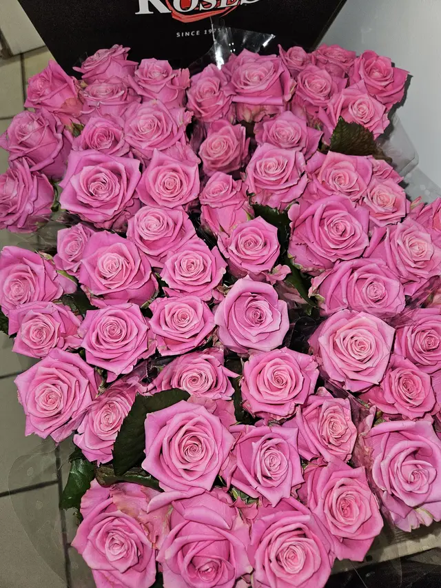 Roses rose tendre en botte