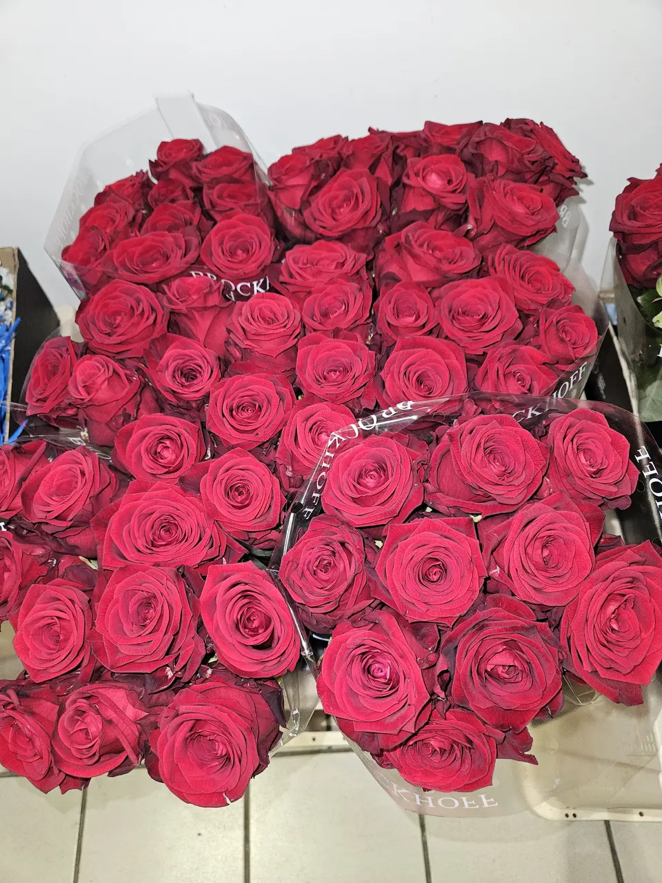 Roses rouges en botte